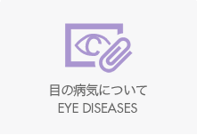 目の病気について,白内障
,緑内障,加齢黄斑変性,眼底の病気,ぶどう膜炎,ドライアイ,屈折異常,前眼部疾患,鼻涙管閉塞症
